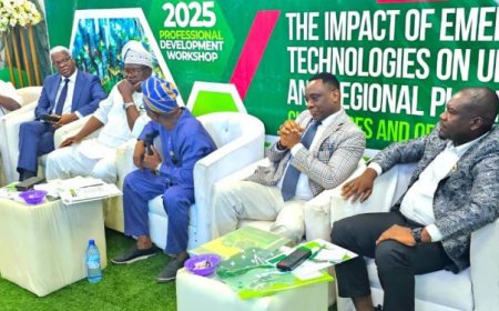 Pelican Valley, Experts Chart Path For Equitable, Sustainable Urban Planning, Development In Ogun, Lagos