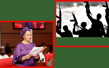 Senator Natasha Akpoti-Uduagha Escapes Gun Men Attack on Family Home In Kogi Says 'They Thought I Was In Town"