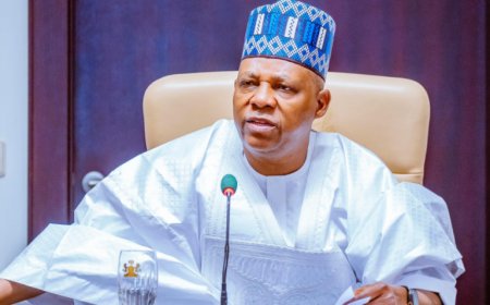 Presidency Debunks Reports of VP Shettima’s Blocked Access To Aso Villa, Says It's Mischievous