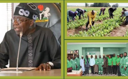 FG Launches “Green Money Project” to Empower Youths in Agriculture