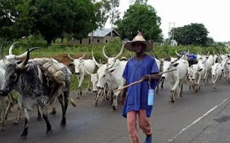 Agatu Chairman Gives Fulani Herdsmen 48 Hours to Vacate Farmlands Ahead of Planting Season