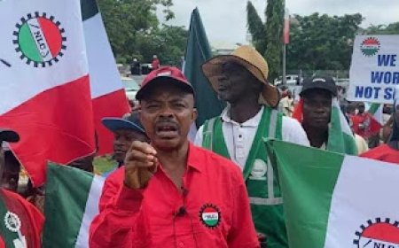 Labour Day: NLC Demands 65-year Retirement Age or 40 Years Service For Civil Servants