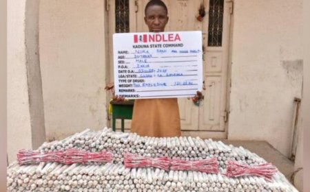 Shocking as NDLEA Seizes Over 900 Explosives Hidden in Nasarawa-Zamfara Traveling Bus, Arrest 30-Year-Old Suspect