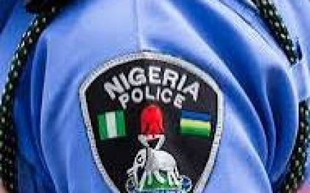 Ogun Police Arrests Wanted Notorious Kidnapper on Way to Abduct Prominent Individual