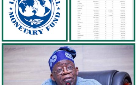 Landmark Economic Reform For Africa's Giant As Nigeria Clears Off N2.59 Trillion IMF Debt in 3 Months