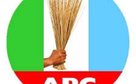 See Full List As Winners Emerge in Lagos APC Chairmanship Primary Ahead of LG Election