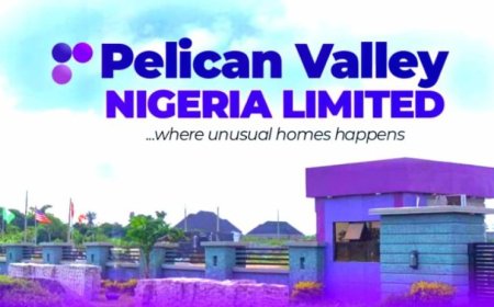 Housing Revolution Advances in Ogun As Pelican Valley Secures Additional Building Approvals From Ogun Government