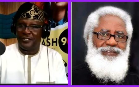 BOILING POINT ARENA: 'Any Politician Who Defects to Another Party Must Quit Office, Go Back to Electorates for Fresh Election', Says Ambassador Farounbi