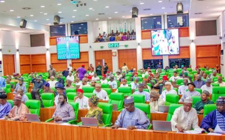 Compulsory Voting Bill For Nigerians Passes Second Reading as PDP Member Representing Akwa Ibom Lectures House on Its Ignorance