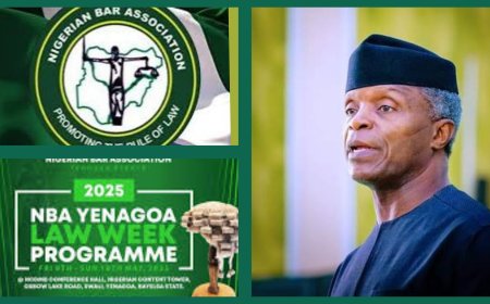 Osinbajo Drops Bombshell, Says "Nigeria's Legal System is on the Brink of Collapse," Calls for Revamp of Legal Education System