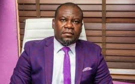 RERAPAN Celebrates Pelican Estates CEO, Babatunde Adeyemo at 46
