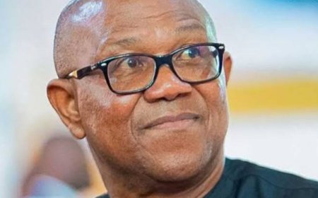 Peter Obi Blames FG For Crises in Opposition Parties, Says "What is happening in the Labour Party and the PDP is caused by the government, quote me anywhere" .