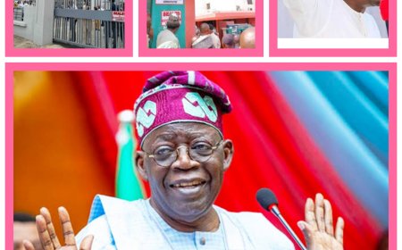 Tinubu Intervenes in Wike's Revocation Order Against PDP Secretariat, FIRS Office, Others, Grants 14 Days Grace
