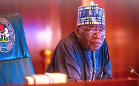 BREAKING NEWS: Tinubu Approves Appointment of New University Governing Councils in Major University Education Reform