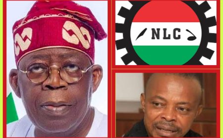 "The Worst is Behind Us": Labour Counters Tinubu’s Economic Optimism, Says Reforms Worsening Poverty