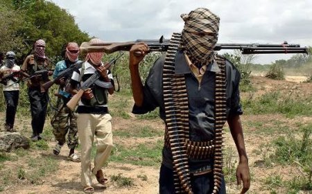 Gunmen Invade School During WASC Examination, Civilian Joint Task Force Repels Attack