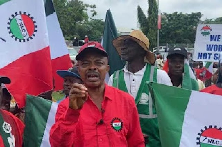 Labour Day: NLC Demands 65-year Retirement Age or 40 Years Service For Civil Servants