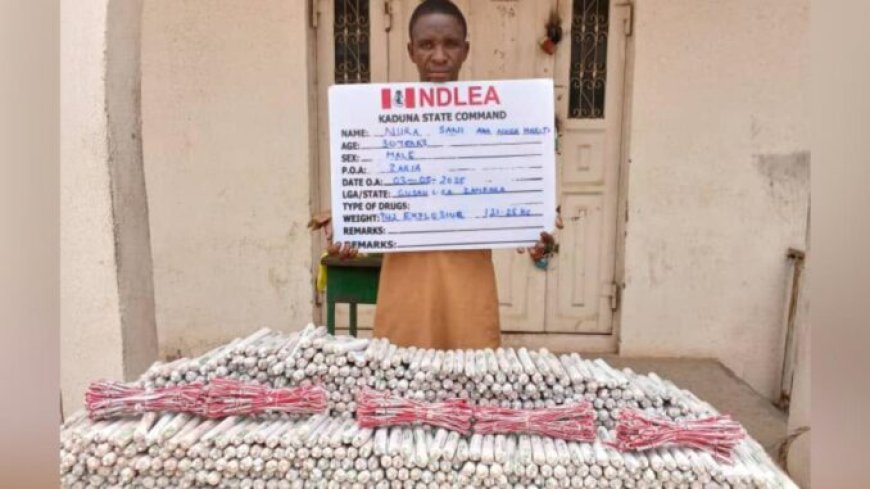 Shocking as NDLEA Seizes Over 900 Explosives Hidden in Nasarawa-Zamfara Traveling Bus, Arrest 30-Year-Old Suspect