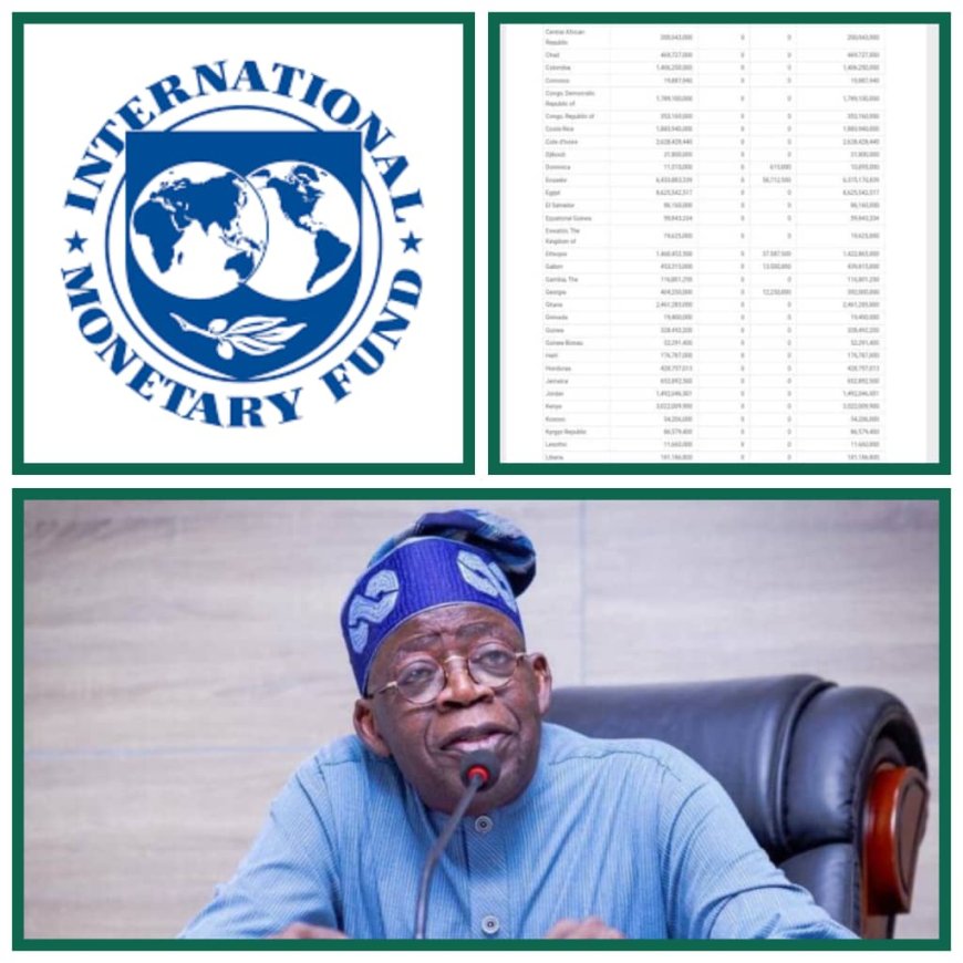 Landmark Economic Reform For Africa's Giant As Nigeria Clears Off N2.59 Trillion IMF Debt in 3 Months