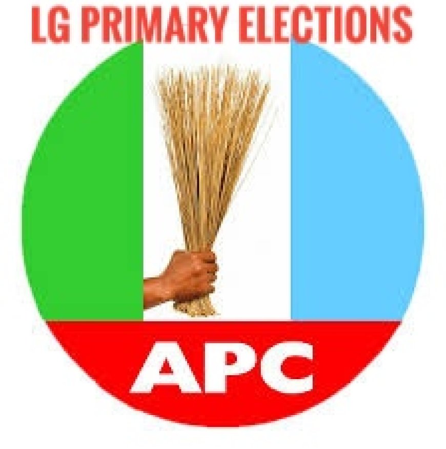 See Full List As Winners Emerge in Lagos APC Chairmanship Primary Ahead of LG Election