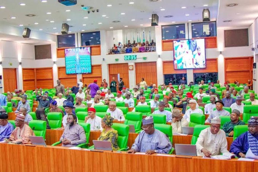Compulsory Voting Bill For Nigerians Passes Second Reading as PDP Member Representing Akwa Ibom Lectures House on Its Ignorance