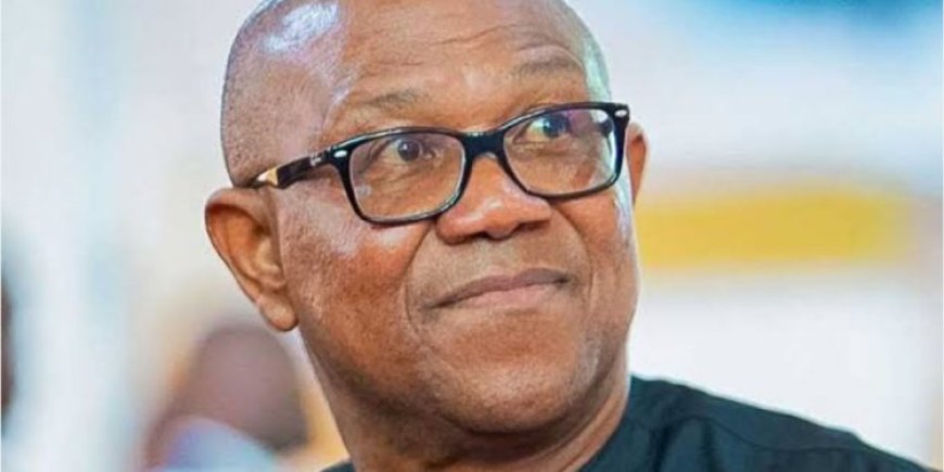 Peter Obi Blames FG For Crises in Opposition Parties, Says "What is happening in the Labour Party and the PDP is caused by the government, quote me anywhere" .