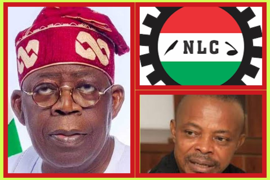 "The Worst is Behind Us": Labour Counters Tinubu’s Economic Optimism, Says Reforms Worsening Poverty