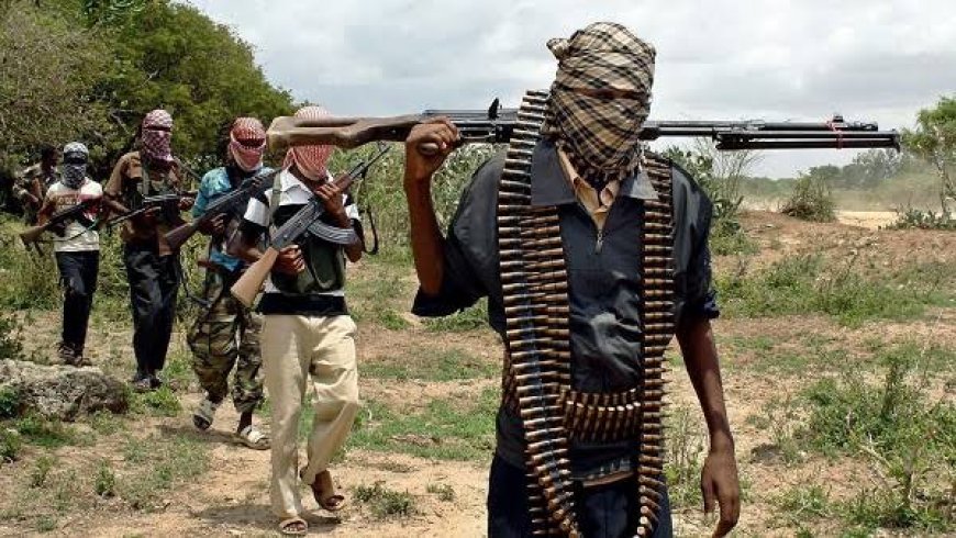 Gunmen Invade School During WASC Examination, Civilian Joint Task Force Repels Attack