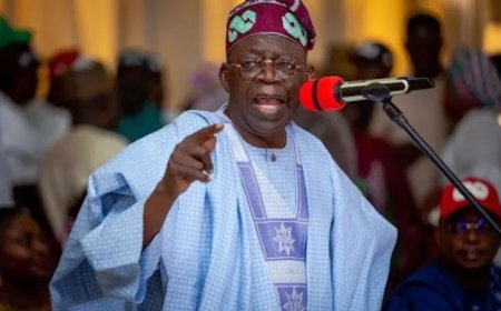 Presidency Denies Awarding Aisha Yesufu National Honour