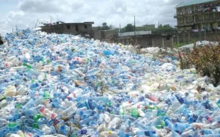 World Environment Day: Ogun Residents Urged to End Plastic Pollution