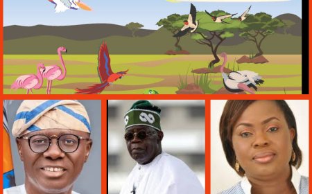 Lagos: Mr. Governor, This Sacrifice Must Get to Olodumare By Funke Egbemode