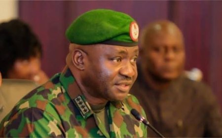 Debate Erupts as Nigeria’s Defence Chief Proposes Border Fencing to Curb Insecurity