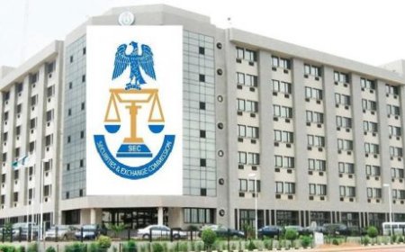 SEC Warns Nigerians Against Investing In Meme Coin ‘$PUN’