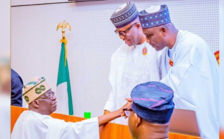 Senator Bamidele Reveals Plans to Legalise June 12 Presidential Address, Swearing-In Ceremonies at National Assembly As Constitutional Review Reach Advanced Stage