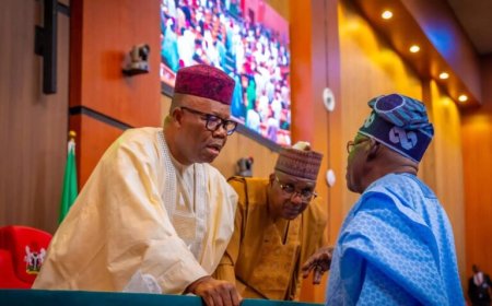 Democracy Day: National Assembly Adopts June 12 as Annual Presidential Address Day