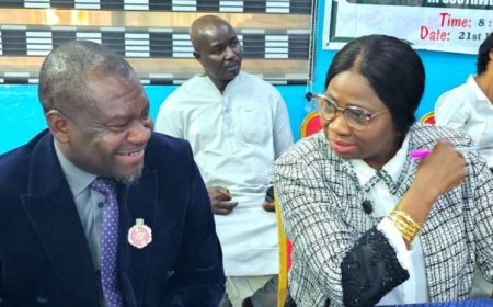 Pelican Valley CEO, Adeyemo, Dabiri-Erewa Set to Drive Diaspora Investments From UK at London Avenue Impact Anniversary