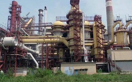 FG Engages Chinese Firms to Revive Ajaokuta Steel, Iron Industry