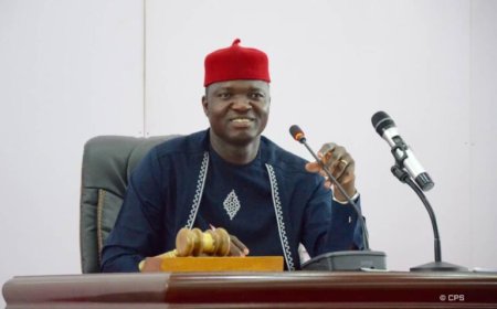 "I Was a Conductor, Bricklayer Looking For N1,000 Job Per Day Before Becoming Governor" Says Ebonyi Governor, Nwifuru
