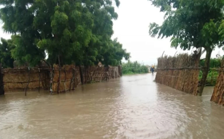 Mokwa Flood: Two Decomposed Bodies Recovered – NSEMA