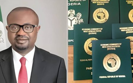 FG Suspends Two Correctional Officers Over Attempt to Secure Passport for Inmate