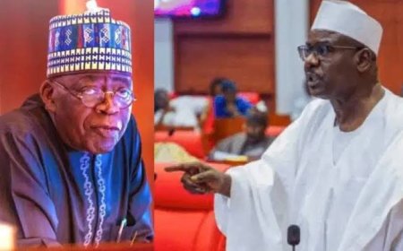 Senator Ndume Warns APC May Sink as Defections Overload Party