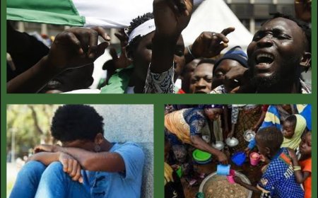 Paradox of Life: Nigerians Rank High in Human Kindness Report Despite Drastic Decline in Happiness Ratings