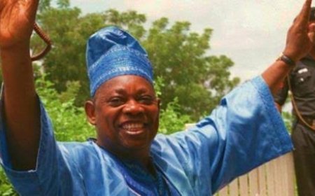 Over 60 Out of 120 Abiola's Children Failed DNA Test - Olalekan Abiola Reveals