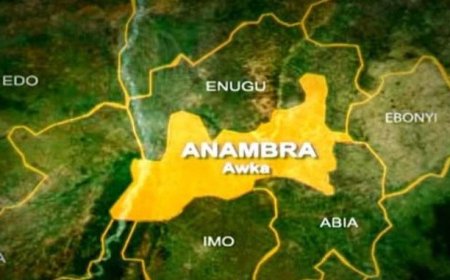 Exposed!: Anambra Youths Now Producing Babies for Sale, NAPTIP Raises Alarm