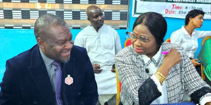 Pelican Valley CEO, Adeyemo, Dabiri-Erewa Set to Drive Diaspora Investments From UK at London Avenue Impact Anniversary