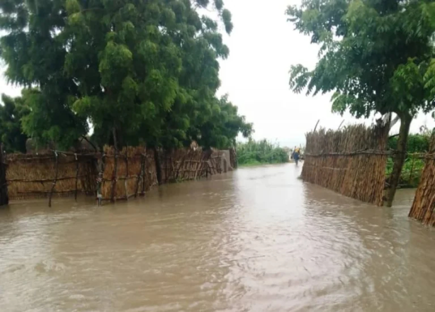 Mokwa Flood: Two Decomposed Bodies Recovered – NSEMA