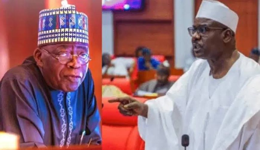 Senator Ndume Warns APC May Sink as Defections Overload Party