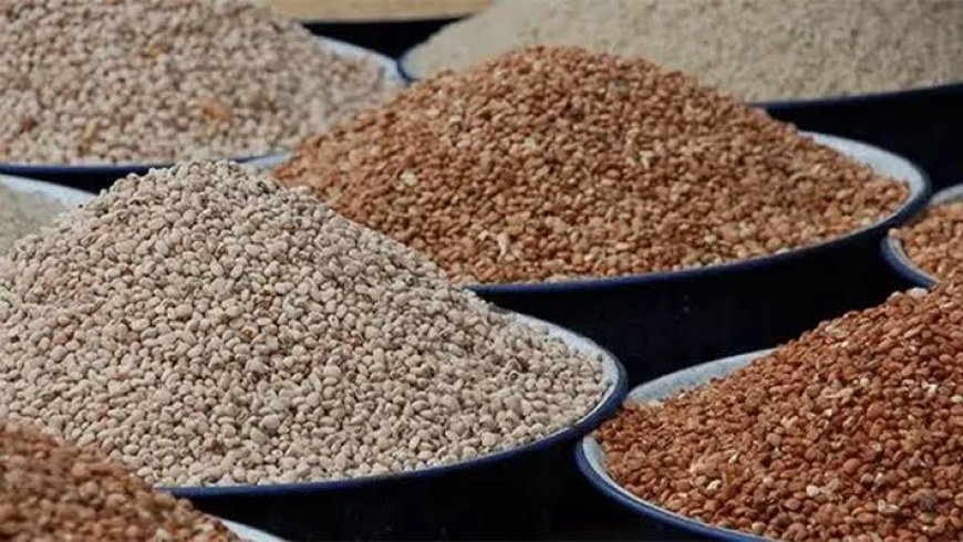 Beans Price Crashes by Over 100% as Farmers Record Bumper Harvests