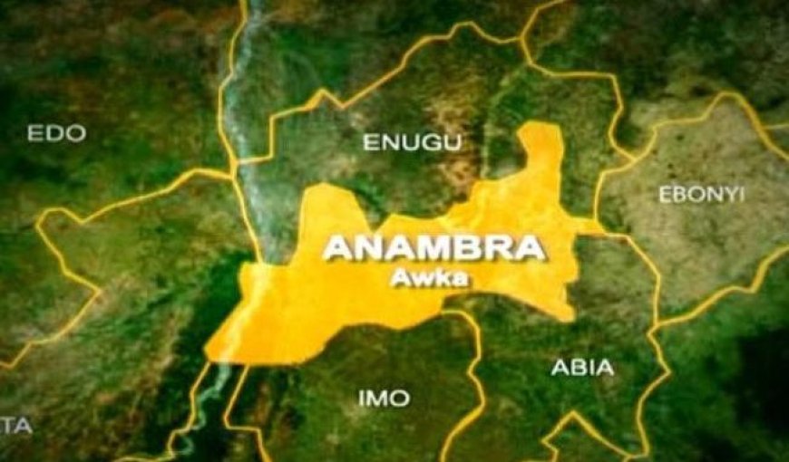 Exposed!: Anambra Youths Now Producing Babies for Sale, NAPTIP Raises Alarm