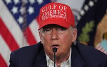 Israel Agreed to 60-day Ceasefire in Gaza, I Hope Hamas Takes This Deal – Trump Discloses